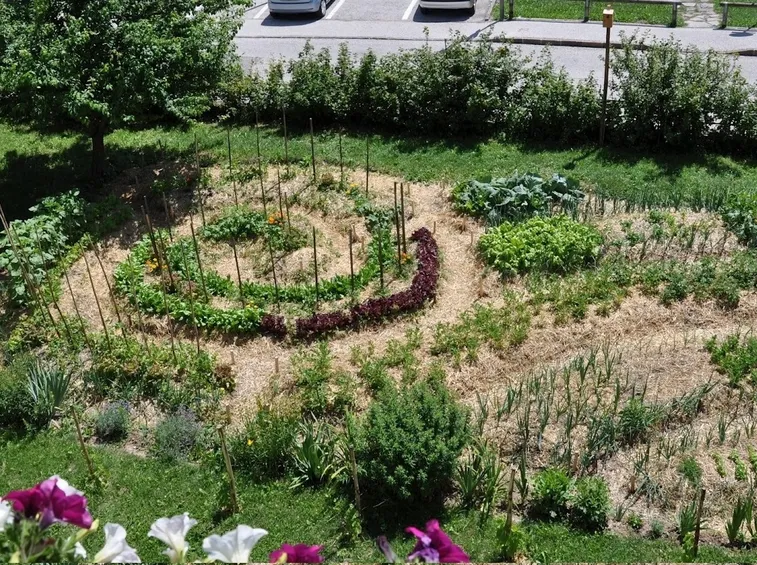 progetti per giardini privati: giardino con orto