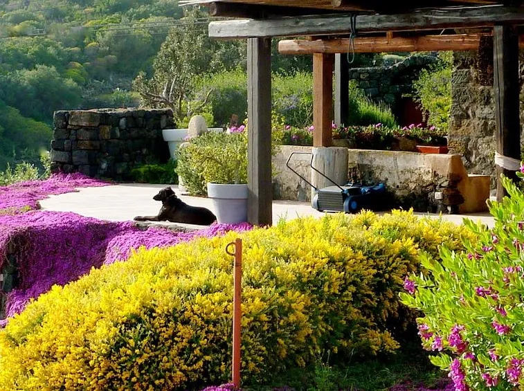 Il giardino mediterraneo