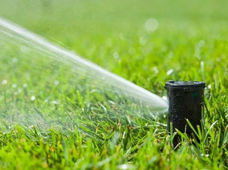 Irrigazione giardino a getto d'acqua