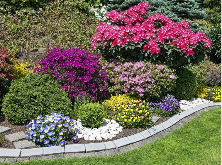 Piante fiorite in giardino