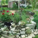 Sassi da giardino