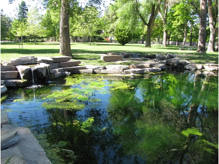 Stagno parco