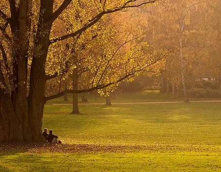 Sotto gli alberi del giardino