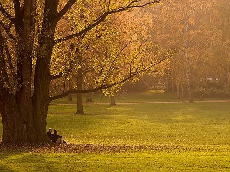 Sotto gli alberi del giardino
