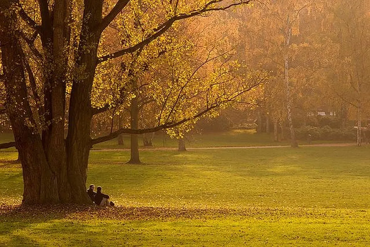 Sotto gli alberi del giardino