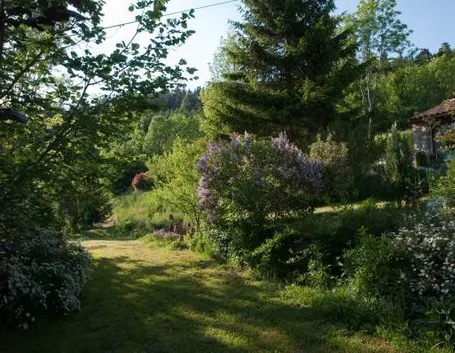 Giardino con alberi