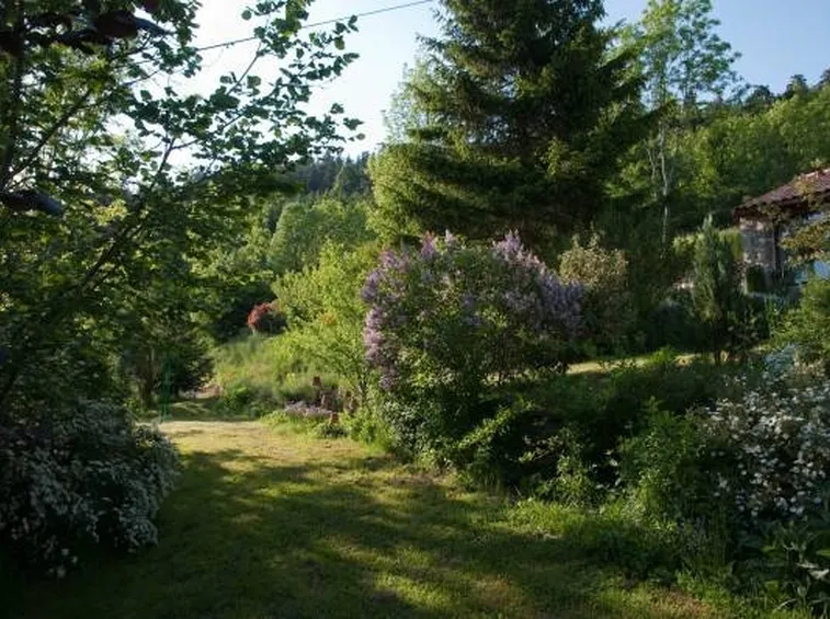 Giardino con alberi