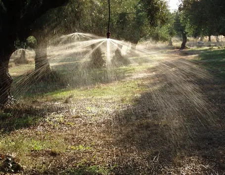 Sistema irrigazione