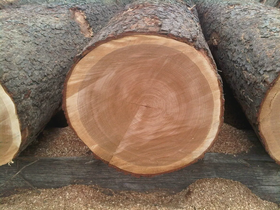 legno di ciliegio