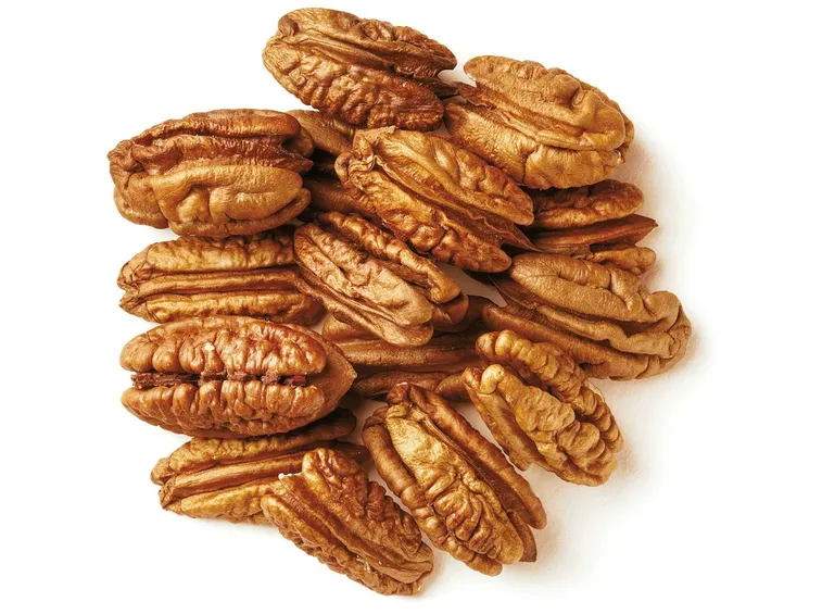 Varietà di noci pecan