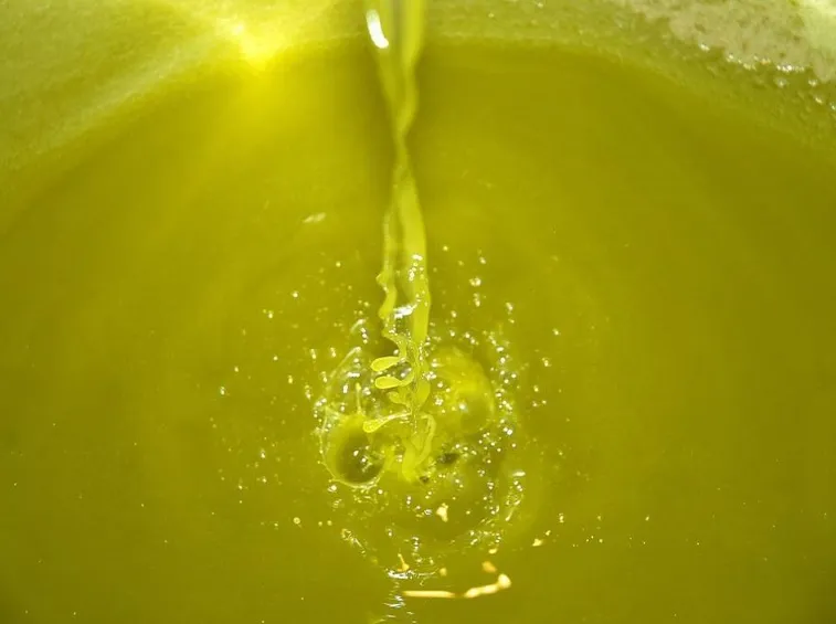spremitura dell'olio d'olio d'oliva