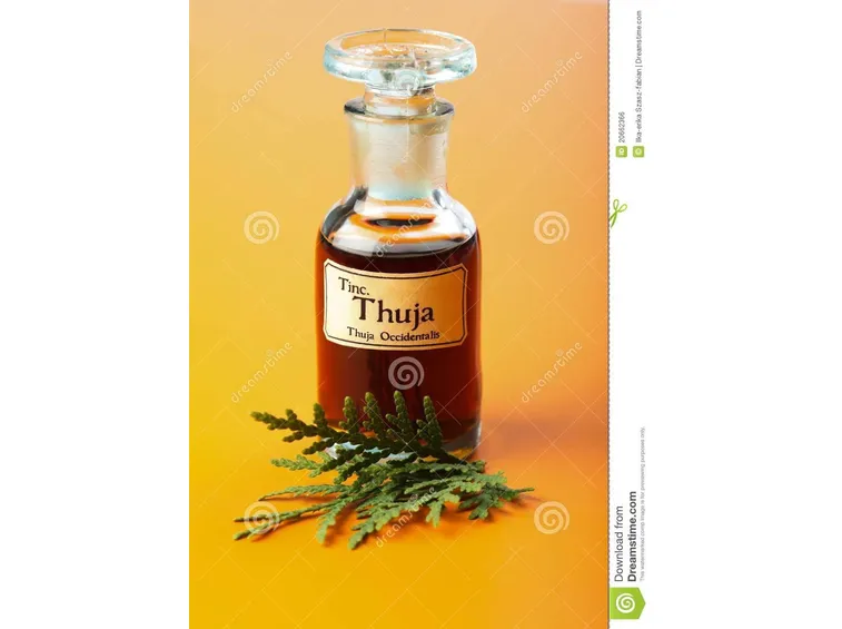 Tintura madre di thuya occidentalis