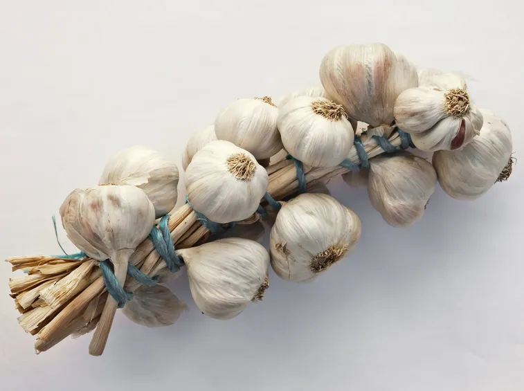 Aglio pronto per la conservazione