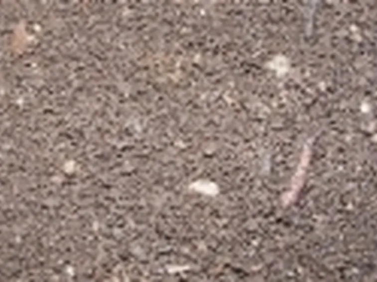 Torba asciutta