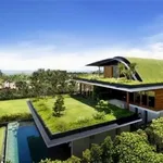 tetto verde