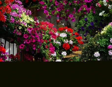 Un balcone fiorito
