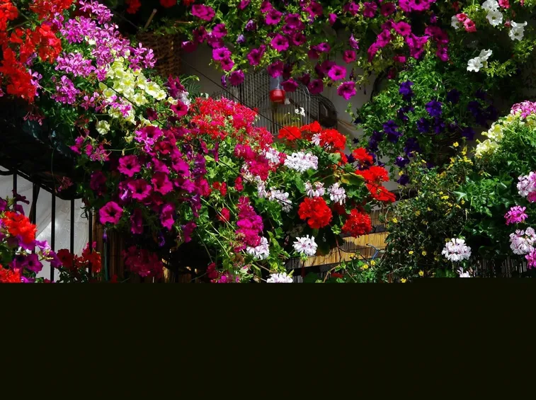 Un balcone fiorito