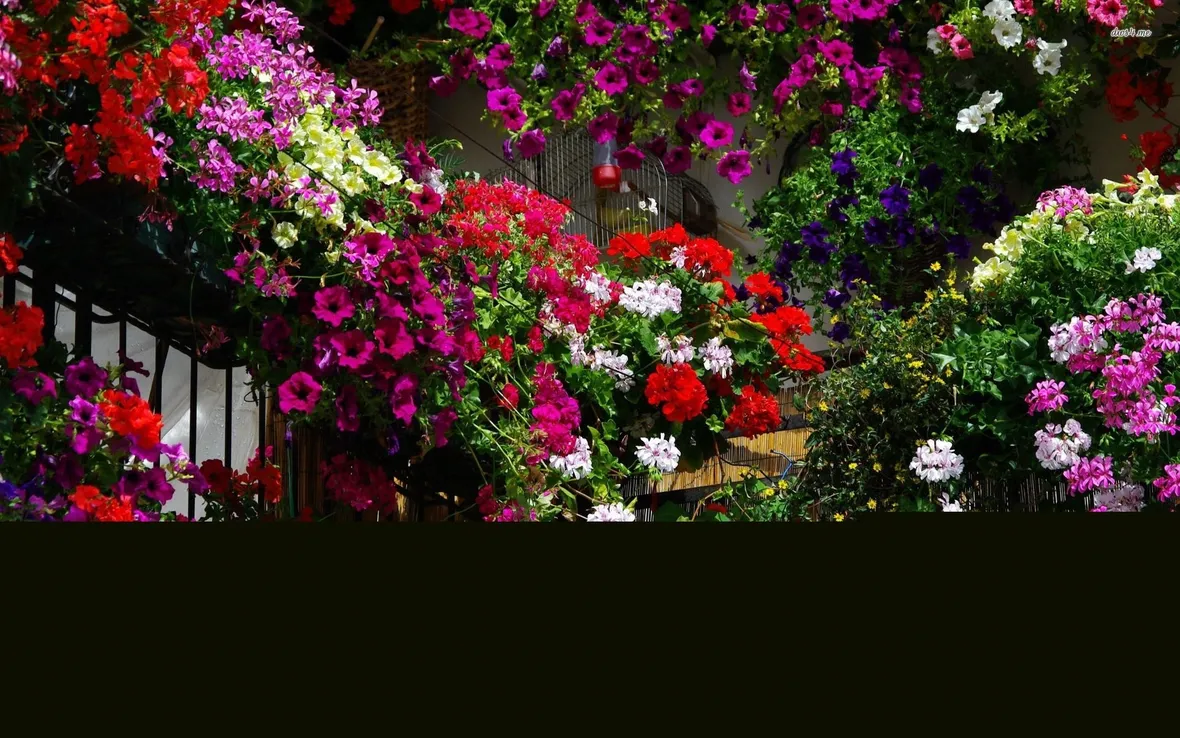 Un balcone fiorito