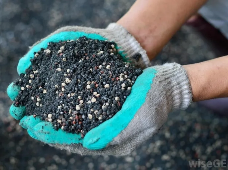 Fertilizzante per ortensie
