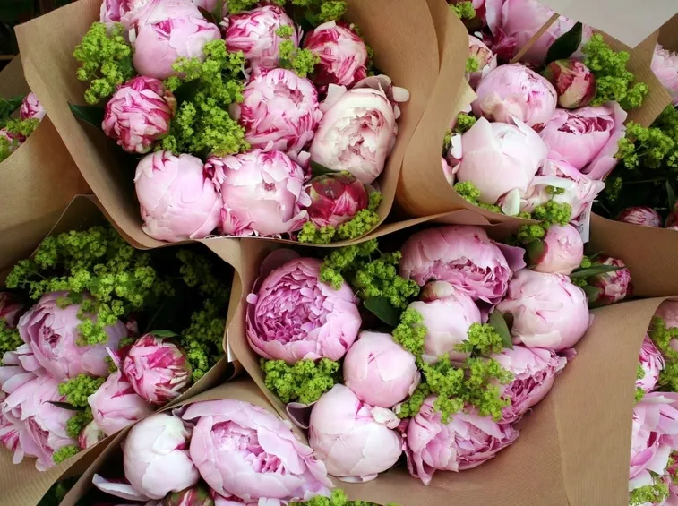 bouquet di peonie