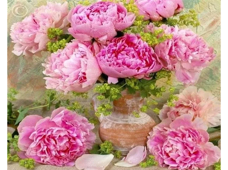 Peonia