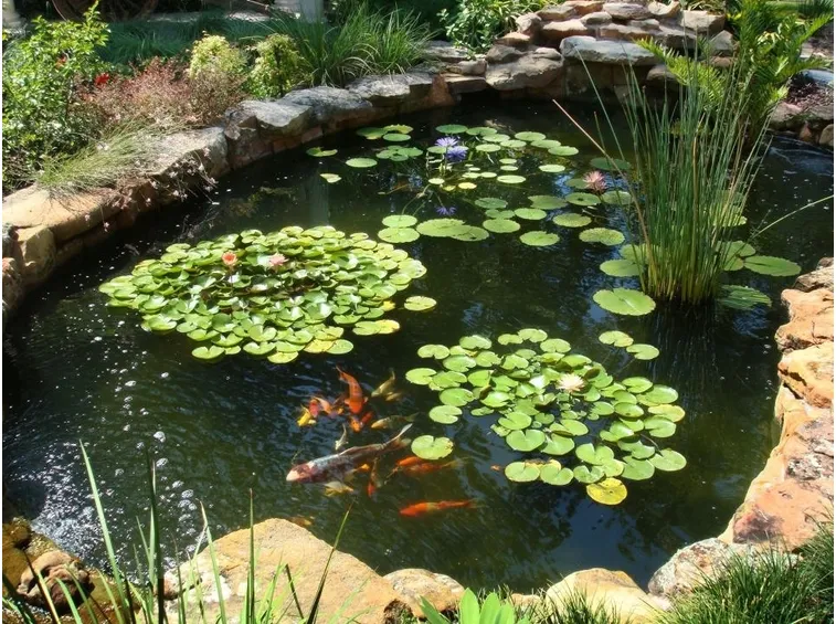 laghetto in giardino
