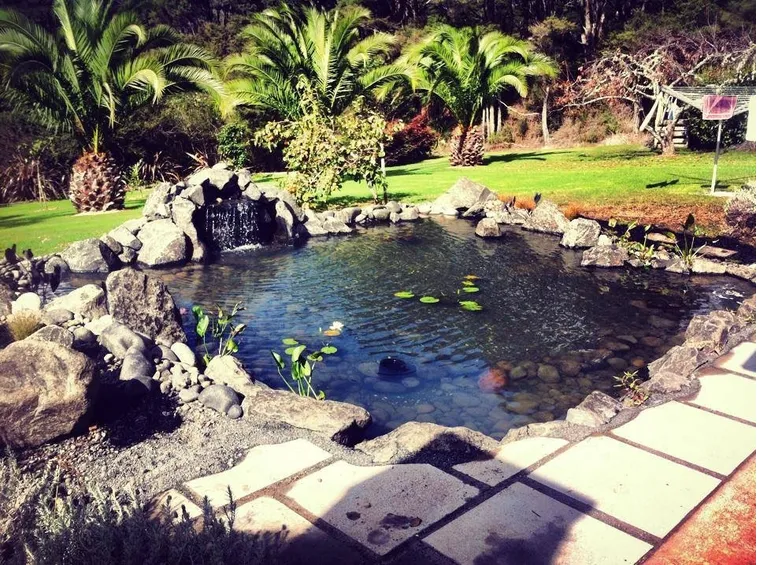 laghetto giardino