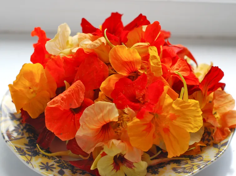 Fiori tisana