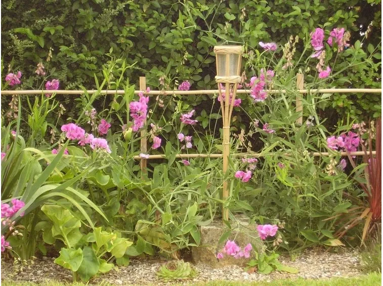 coltivazione Casanaute.com