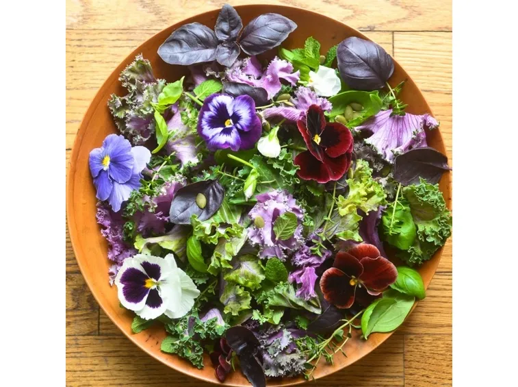 fiori di viola commestibili