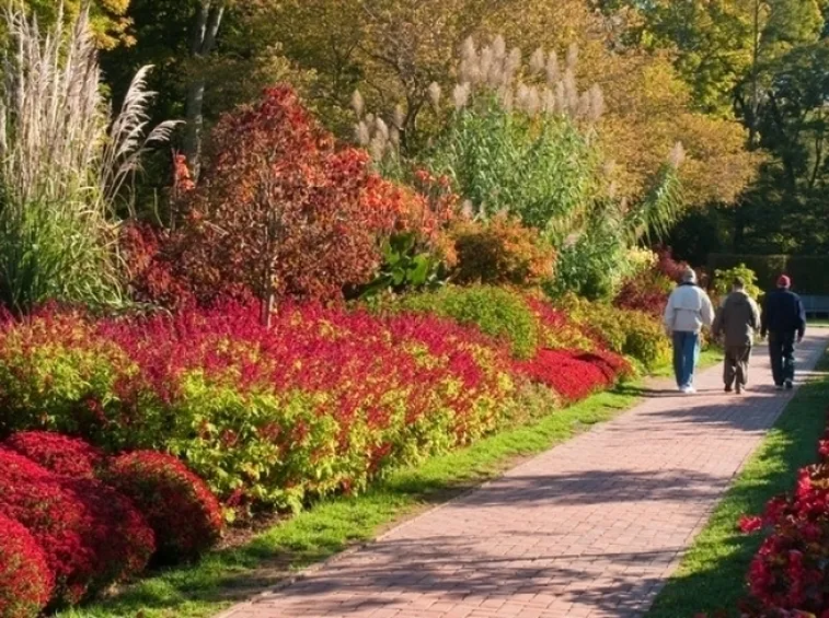 giardino in autunno