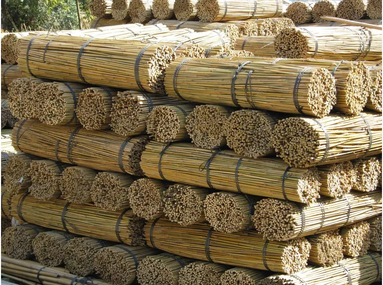 Stoccaggio delle canne di bamboo