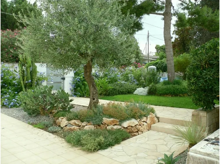 Giardino con piante