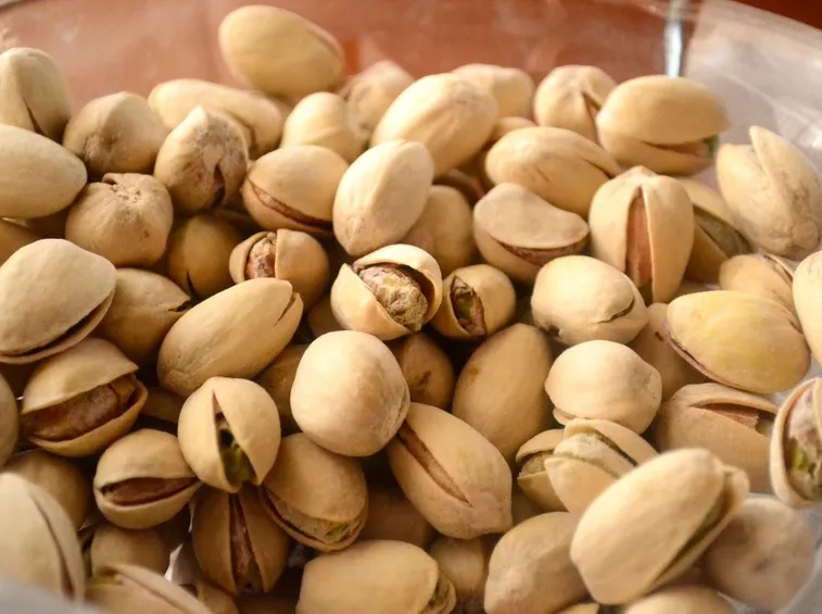 pistacchi