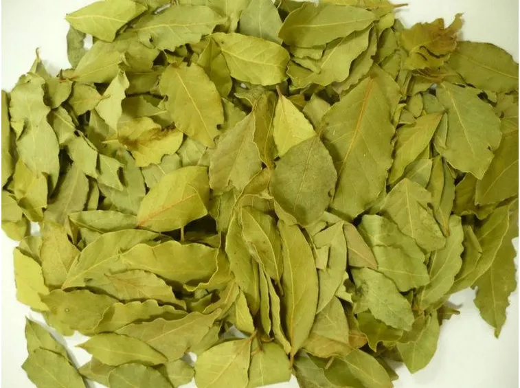Foglie di alloro essiccate