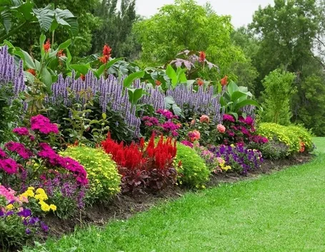 giardino a pieno sole