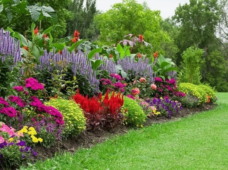giardino a pieno sole