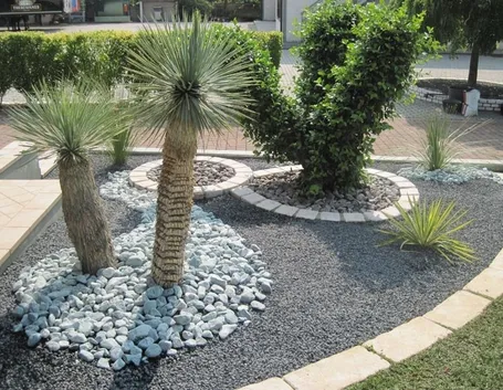 aiuola piante grasse