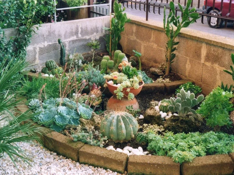 Giardino di piante grasse