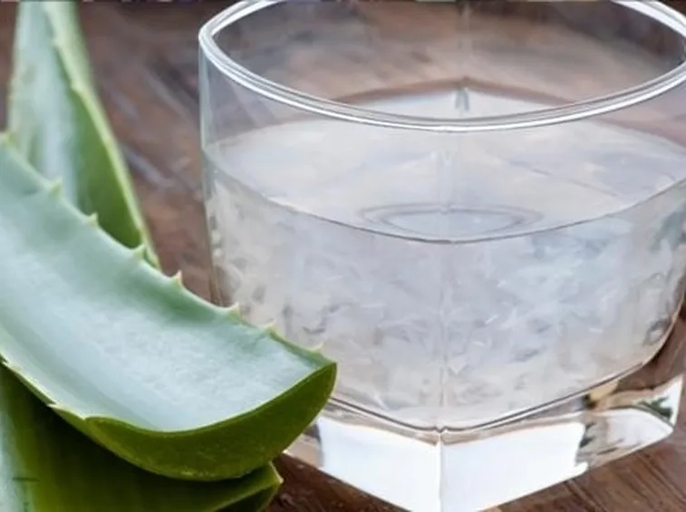 Con gli estratti di aloe si preparano bevande dalle proprietà terapeutiche