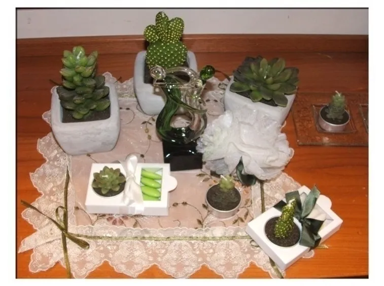 Eleganti bomboniere con piante grasse