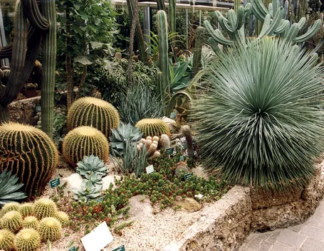 Giardino roccioso