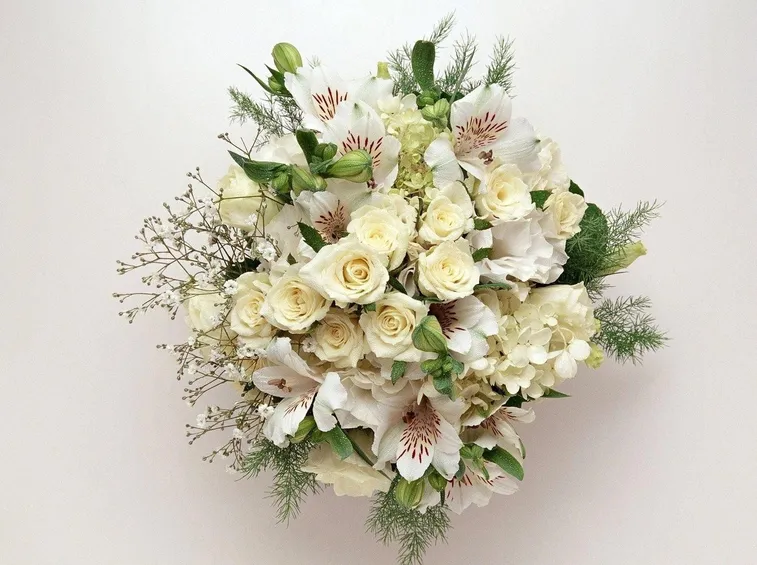 Alstroemeria di Louis in bouquet