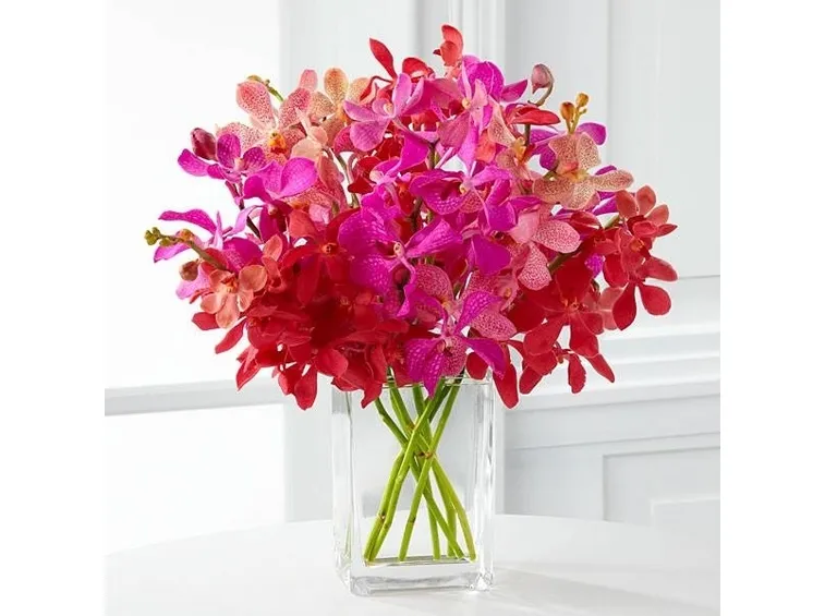 mazzo orchidee