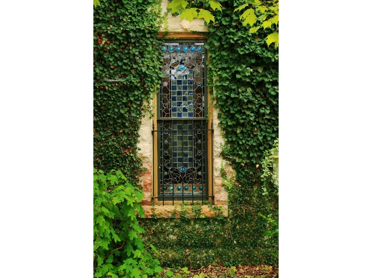 Edera sulla facciata di una casa