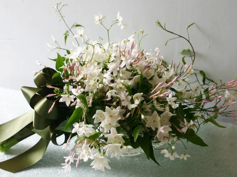 Bouquet di gelsomino siciliano