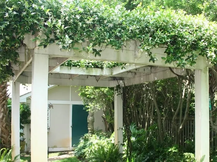 Gazebo vite americana