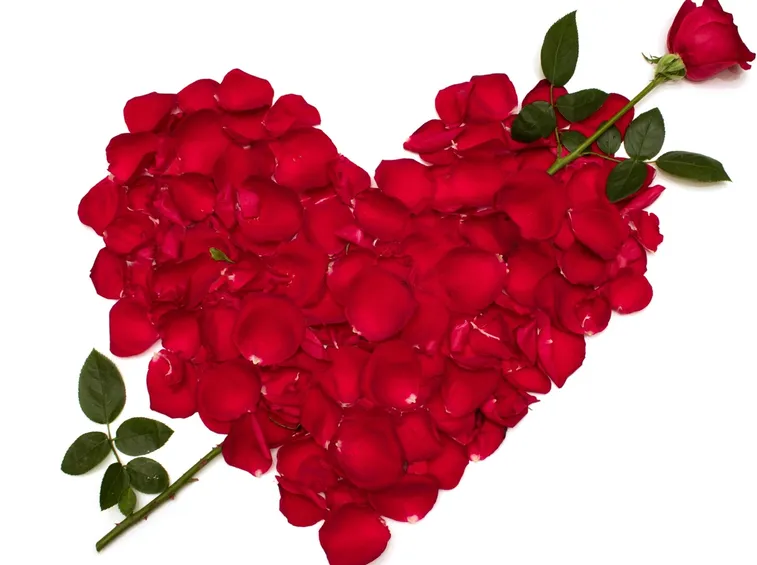 immagine di un cuore di petali di rose rosse
