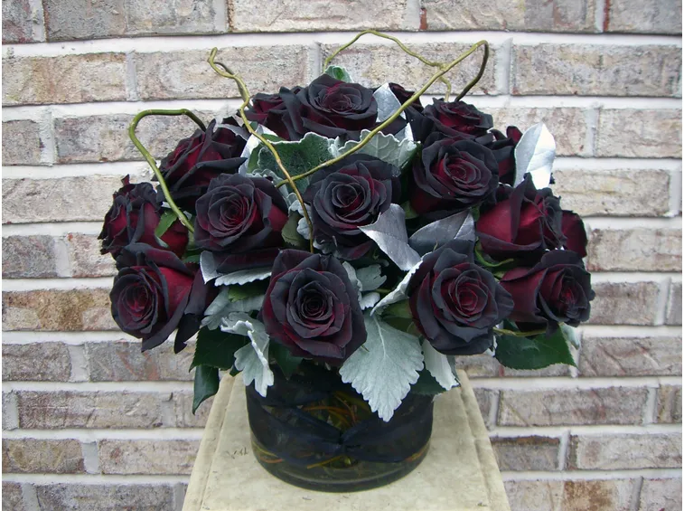 Composizione di Rose Black Baccarat