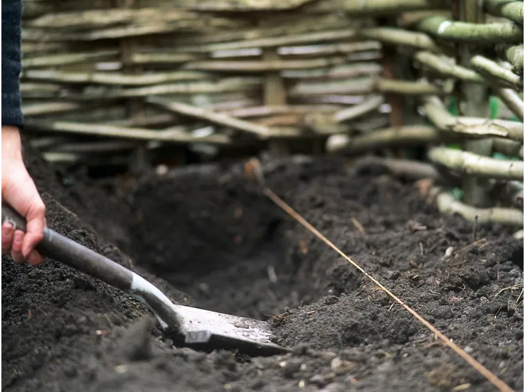 preparazione del terreno